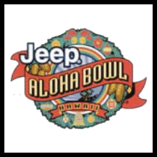 Aloha Bowl