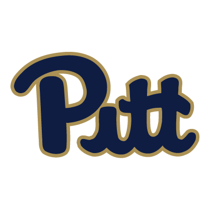 Pittsburgh 2015 Logo