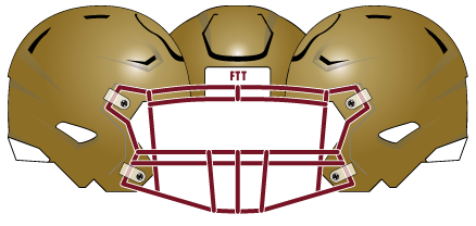 Boston College 2021 Gold Helmet