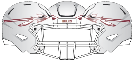 Florida State 2022 White Helmet White Facemask