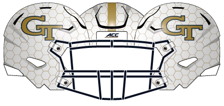 2014 Honey Comb Helmet