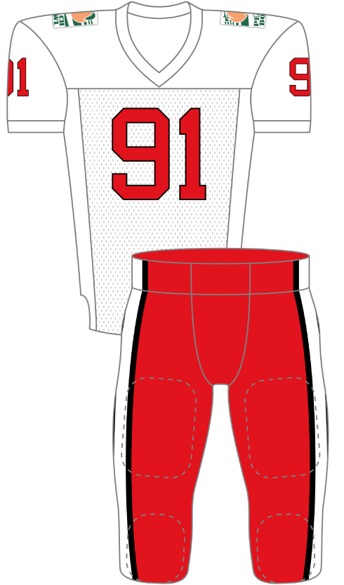 North Carolina State 1991 White