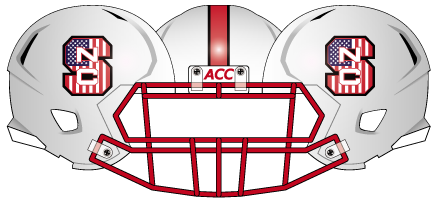 2013 NC State Flag Helmet