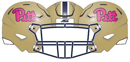 Pittsburgh 2015 Pink Helmet