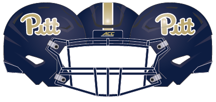 Pittsburgh 2016 Blue Helmet