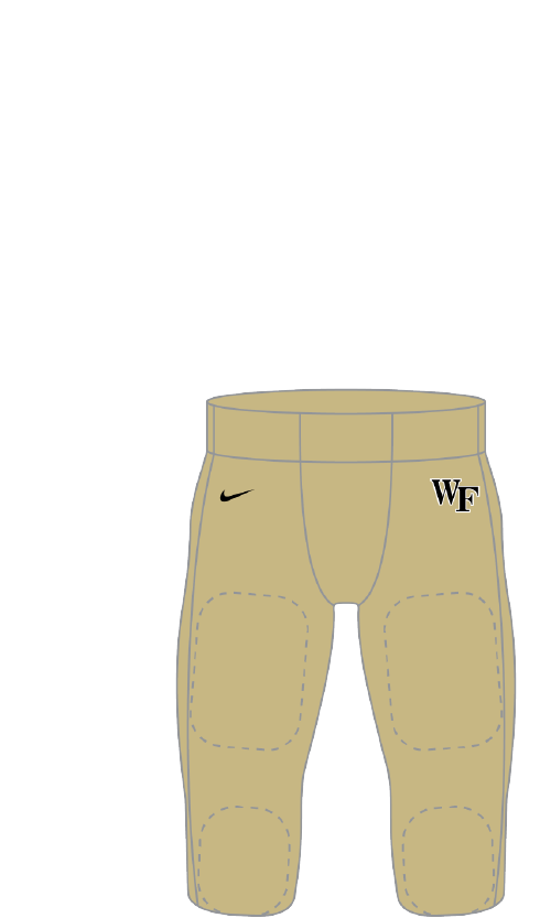 Wake Forest 2005 Gold Pants