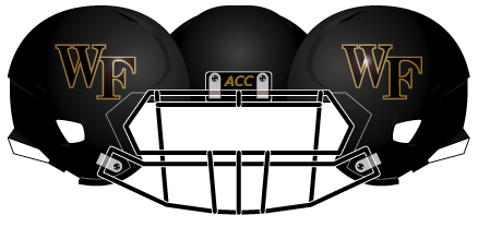 Wake Forest 2013 Black Matte Gold Outline Helmet