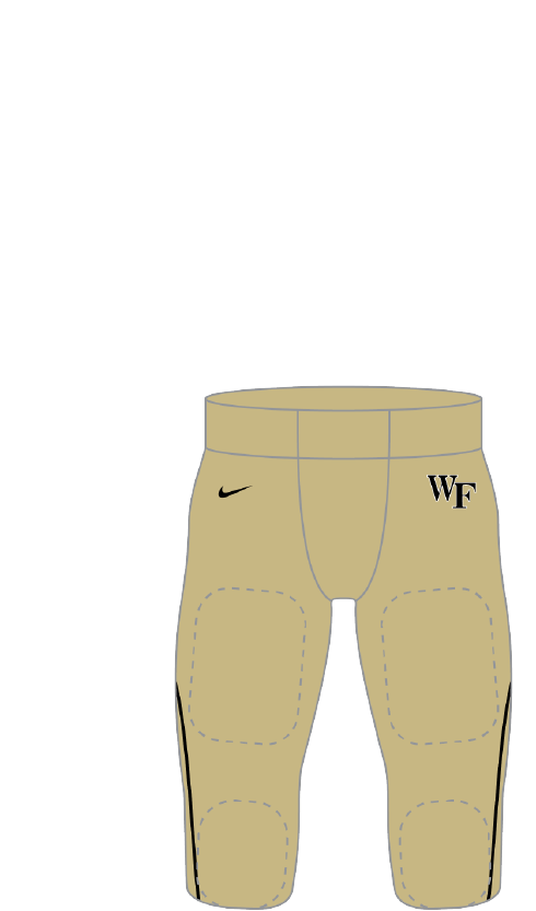 Wake Forest 2014 gold Pants