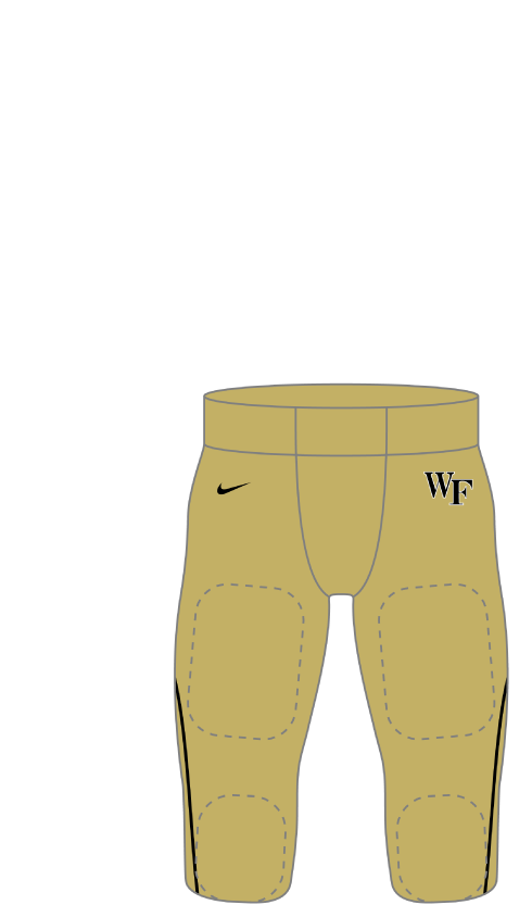 Wake Forest 2014 gold Pants