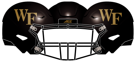 Wake Forest 2014 Black Helmet