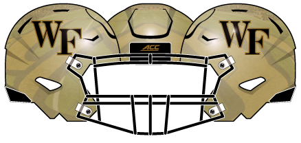 Wake Forest 2014 Gold Metallic Helmet