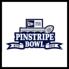pinstripe bowl