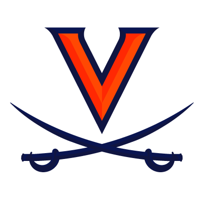 Virginia 2020 Logo