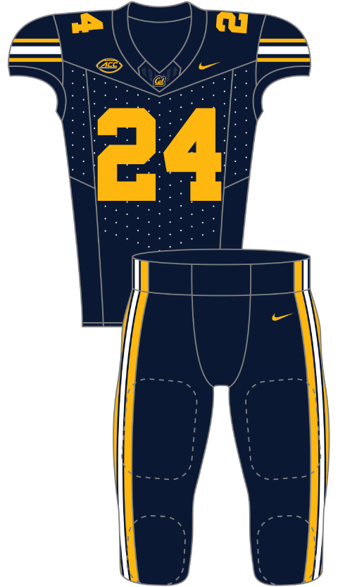 California 2024 Blue