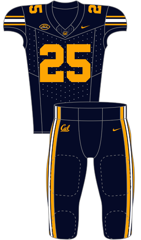 California 2025 Blue