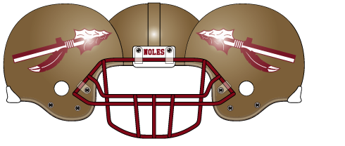 Florida State Gold Helmet