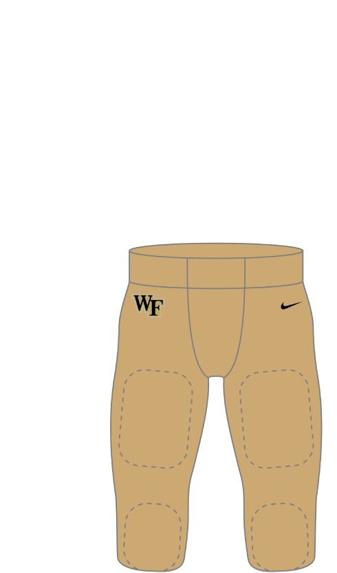 Wake Forest 2026 Gold